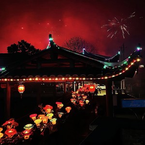 请到胡坊看花灯