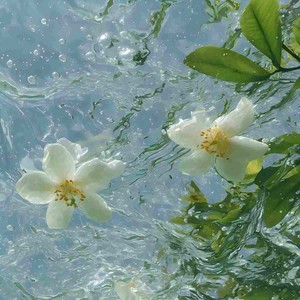 心声时刻 - 2025年度最佳老公颁奖词