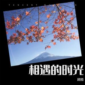 相遇的时光