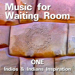 Music for Waiting Room, Vol. 1 (Indios and Indians Inspiration)