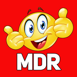 timal parodie fortnite