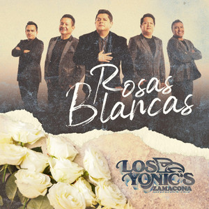 Rosas Blancas