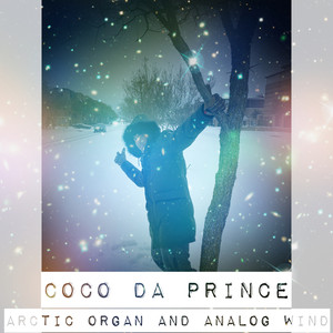 Arctic Organ And Analog Wind