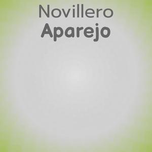 Novillero Aparejo