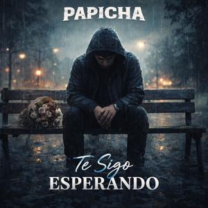 Te Sigo Esperando (Explicit)