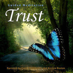 Trust Meditation - Single