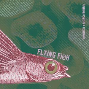 flying fish