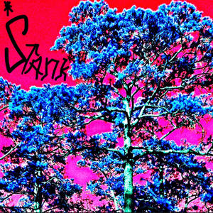 STANK (feat. LOU.) (Explicit)