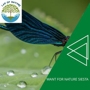 Want for Nature Siesta
