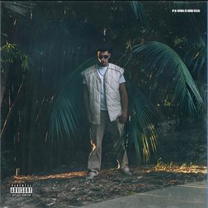 PARTY ALL DAY (feat. Ivannilson) (Explicit)