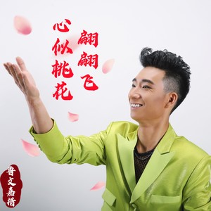 心似桃花翩翩飞（恰恰）舞曲版