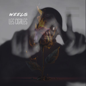 les cigales (Explicit)