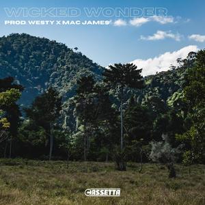 Wicked Wonder