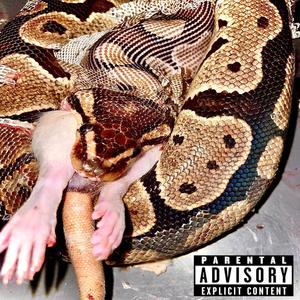 Die like Jesus (Explicit)