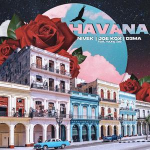 Havana(feat. Young Jae)