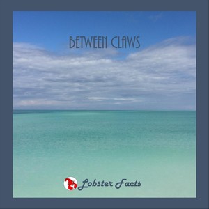 Between Claws (Explicit)