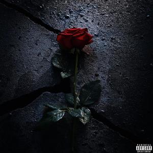 Trap Essentials (Explicit)