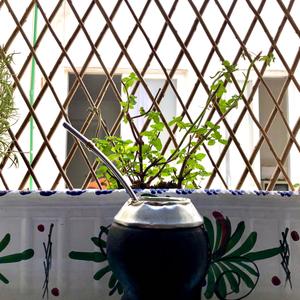 Los frikeados (na que ve)