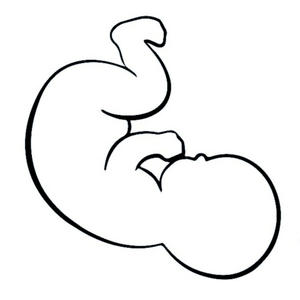 Nato nel 2021 (Radio Edit)