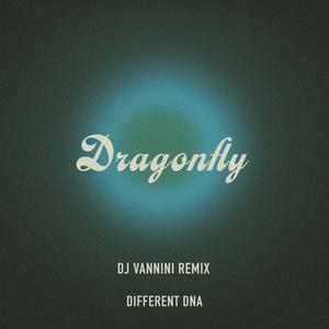 Dragonfly DJ Vannini remixes