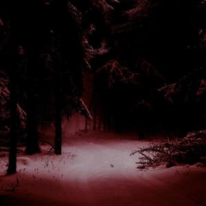 I KILLED MYSELF IN DECEMBER(feat. NUKRITO) (Explicit)