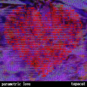 Parametric Love (feat. Hatsune Miku & Kaai Yuki)