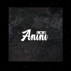 Anini