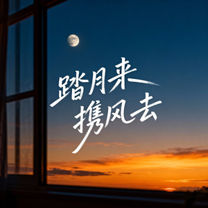 踏月来携风去封面
