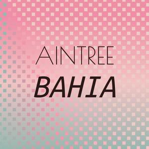 Aintree Bahia