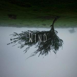 Wind