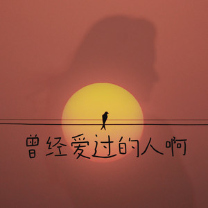 不能说出口的爱