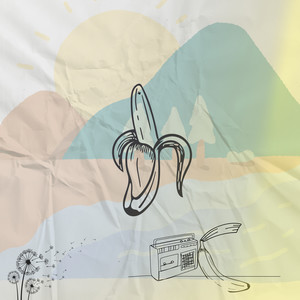 bananas for sale (organic/fairtrade)