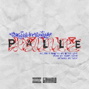 PALLE (Explicit)