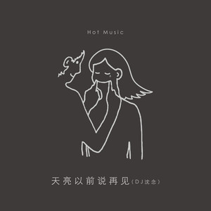 天亮以前说再见 (DJ沈念版)封面