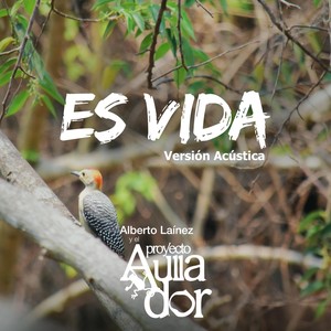 Es Vida (Acústica)