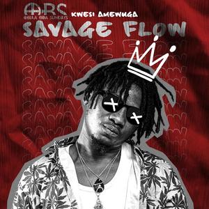 Savage Flow (Explicit)