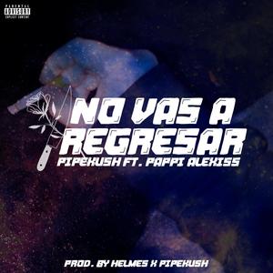 No Vas a Regresar(feat. Pappi Alexiss) (Explicit)