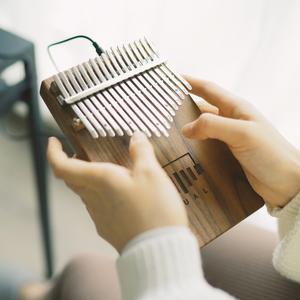 群星-今夏 (拇指琴midi|羊阿宝 remix)