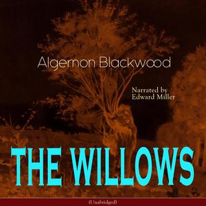 Chapter 03: The Willows