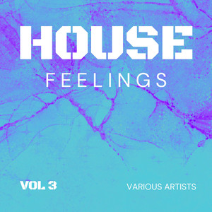 House Feelings, Vol. 3