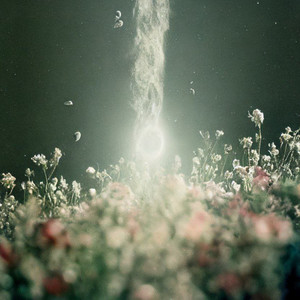 Пропаганда (feat. nifasil) (Explicit)