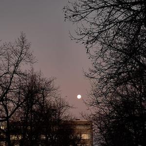 susta tulee viel jotain mahtavaa