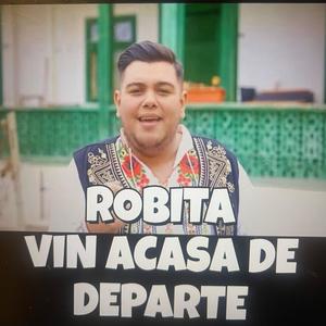 Poti Sa Ai Zeci De Palate