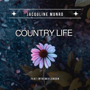 Country Life (feat. InthemixLondon)