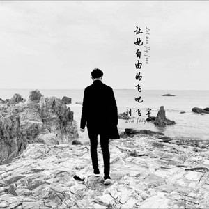 让她自由的飞吧