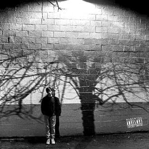 i don't rlly get high(feat. ryanmadeit) (Explicit)