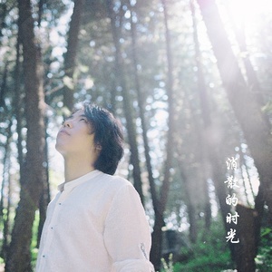 消散的时光