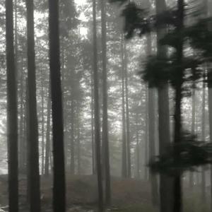 walk away as the door slams