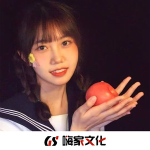 甩葱歌 (DJ盗版)