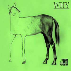 Why (Explicit)